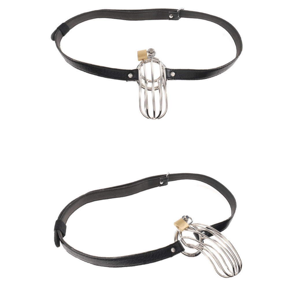 Fetish Fantasy Extreme Steel Chastity Cock Cage Belt