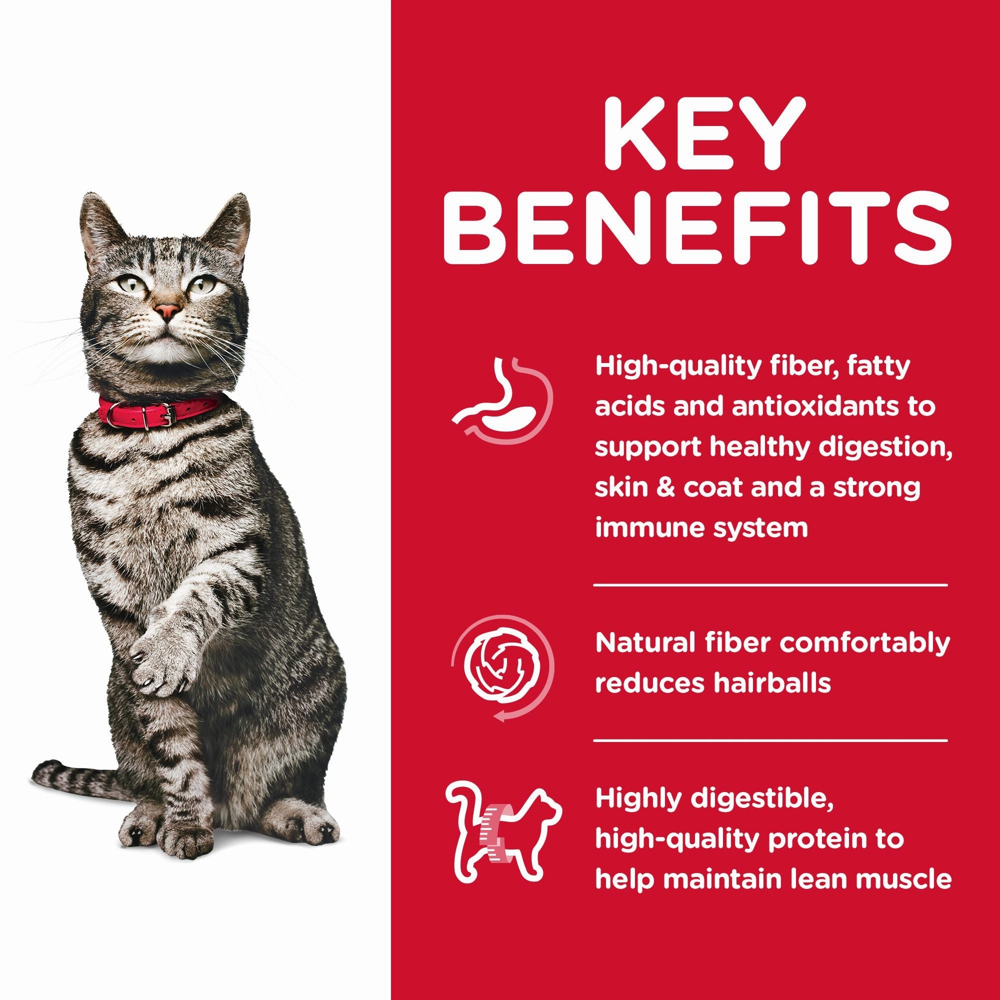 Hill's Science Diet Adult Urinary & Hairball Control Dry Cat Food, Chicken Recipe