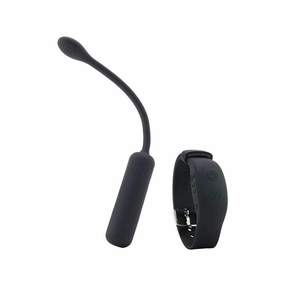 Insertable Bullet with Remote Control Wristband