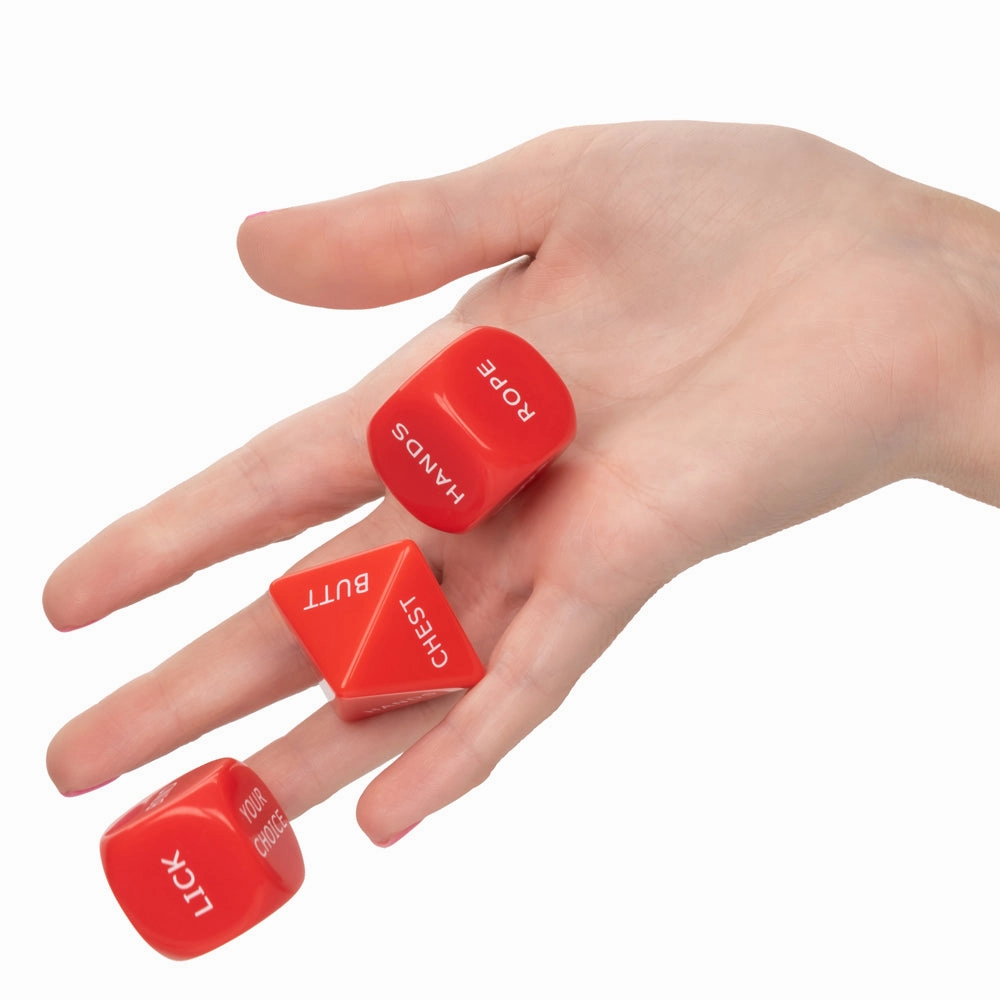 Let's Get Kinky! Dice Game