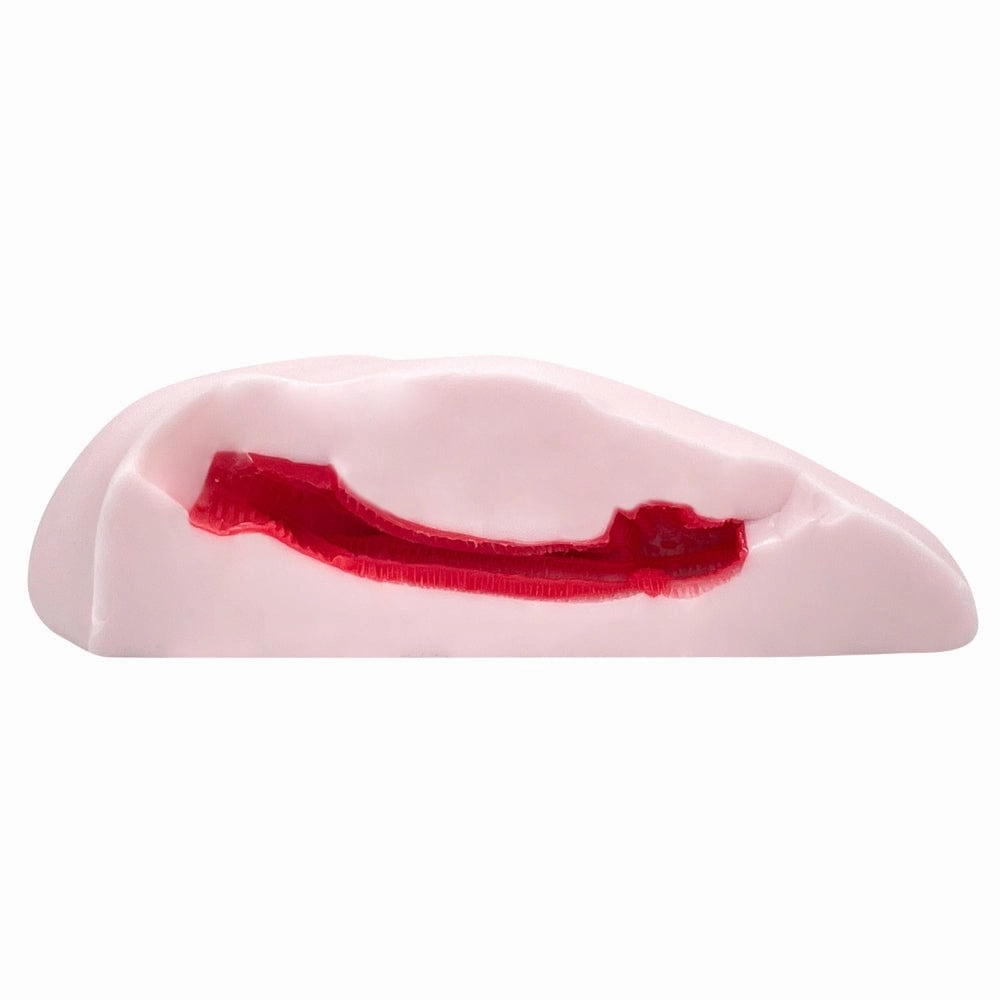 Peach Toys - Floor Ona Shiki Zero Succubus Gal Onahole