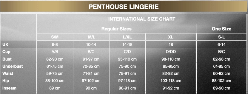 Penthouse - Gangsta Babe Suspender Bodystocking Costume