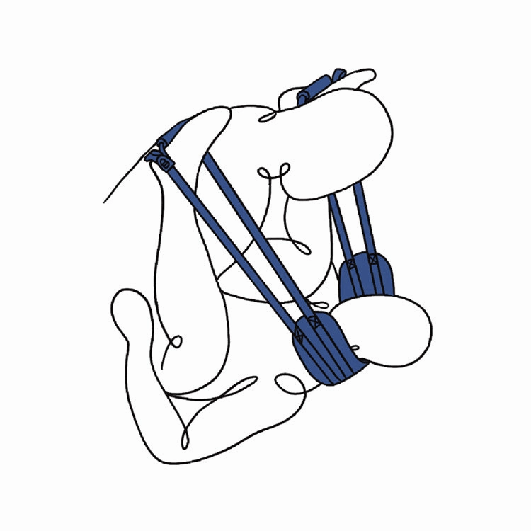 Pivot Deluxe Doggy Strap