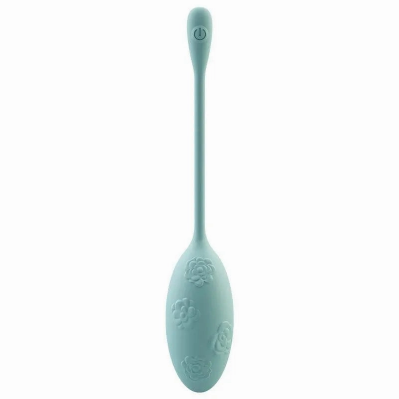 Remote Control Vibrating Egg