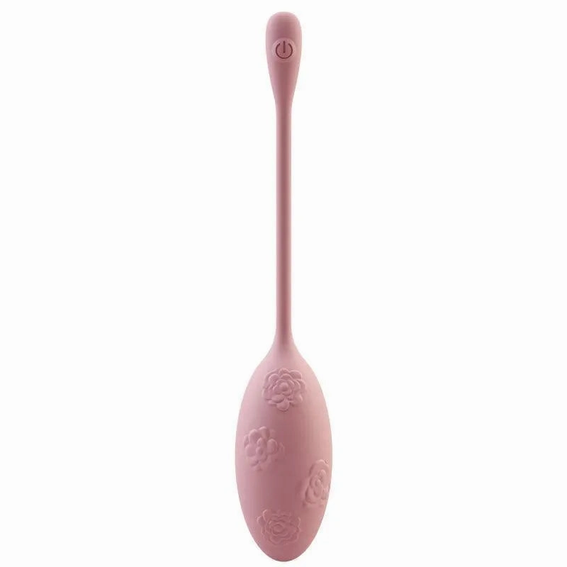 Remote Control Vibrating Egg