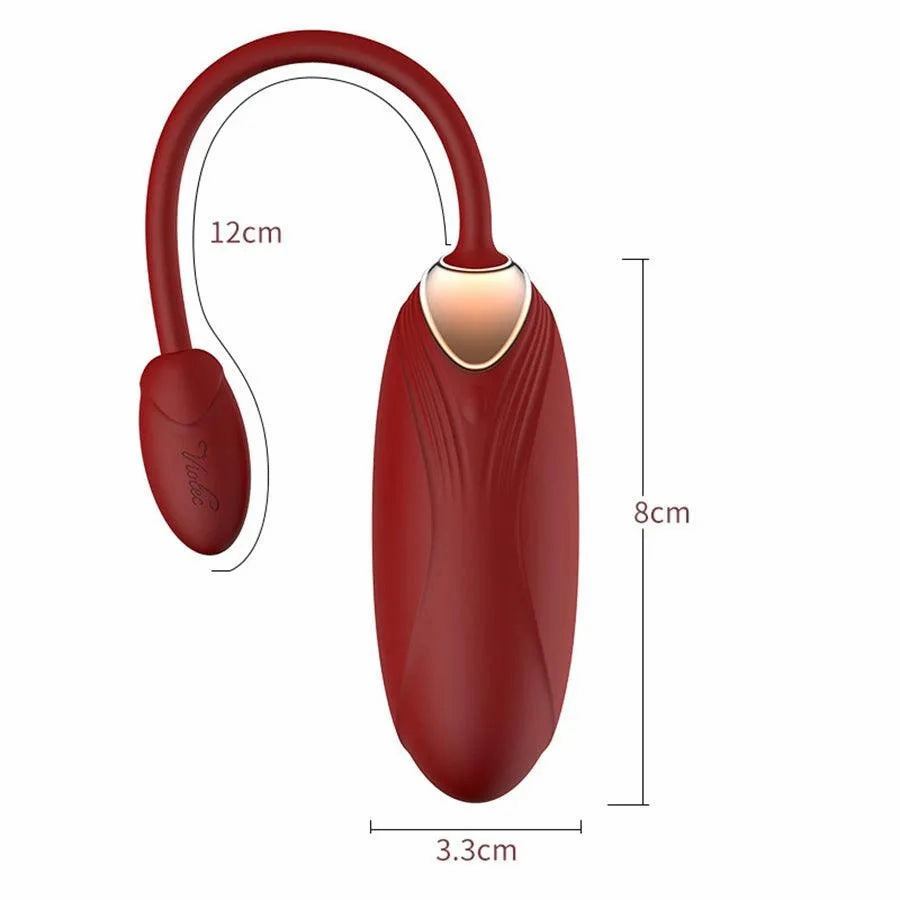 Remote Control Vibrating Egg Sex Toy