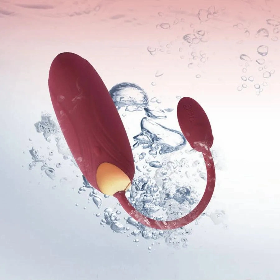 Remote Control Vibrating Egg Sex Toy