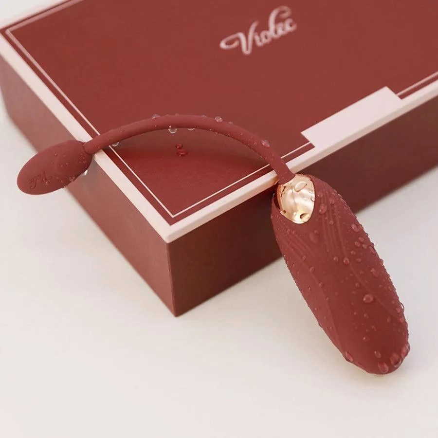 Remote Control Vibrating Egg Sex Toy