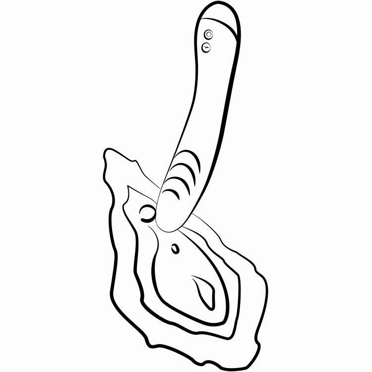 Romp Hype G-Spot Vibrator