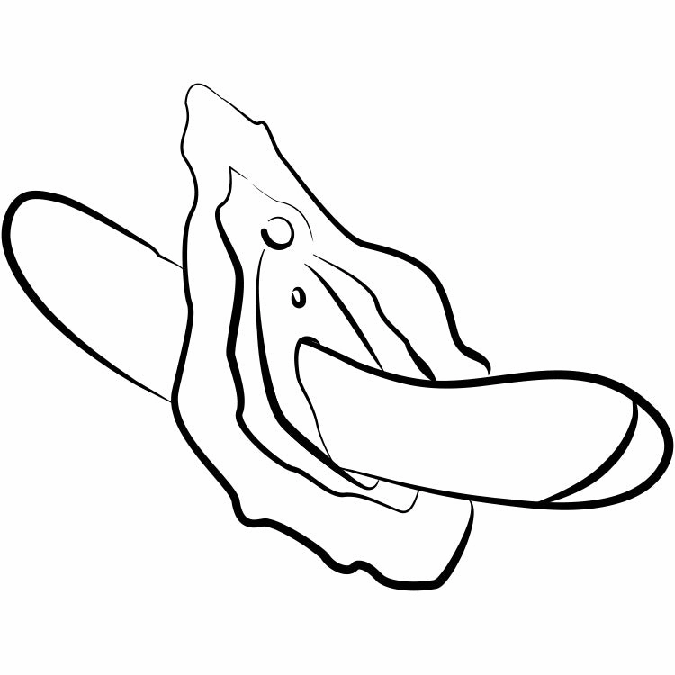 Romp Hype G-Spot Vibrator