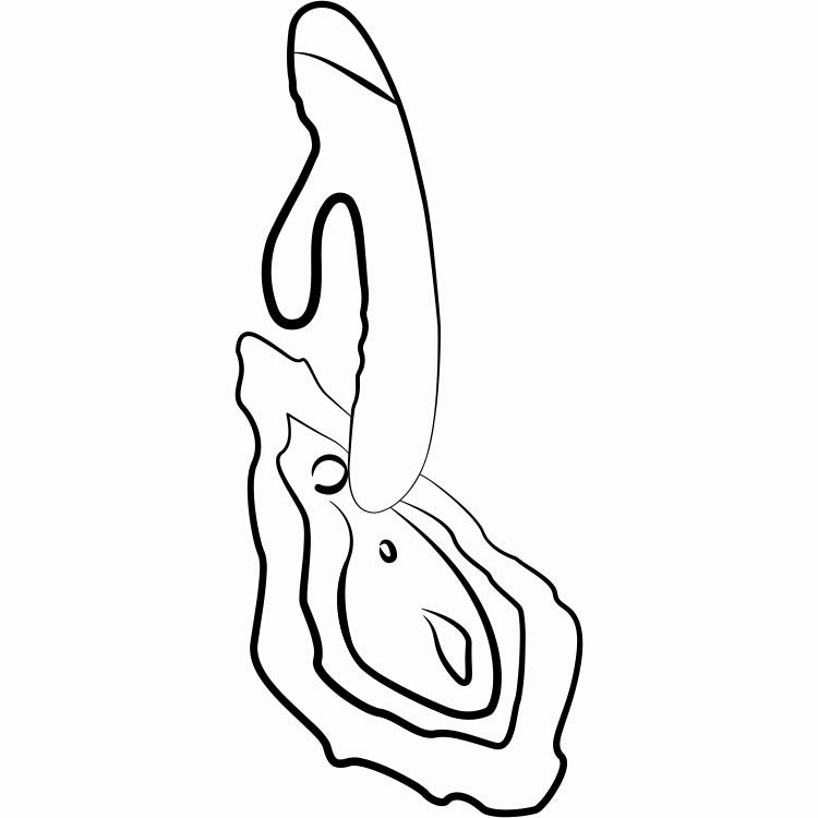 Romp Jazz Dual Action Vibrator