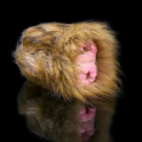 Sex Toy Pussy for Monkey Inspired
