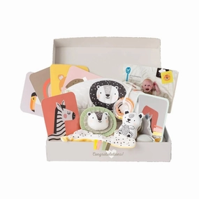 Taf Toys Newborn Play & Develop Kit