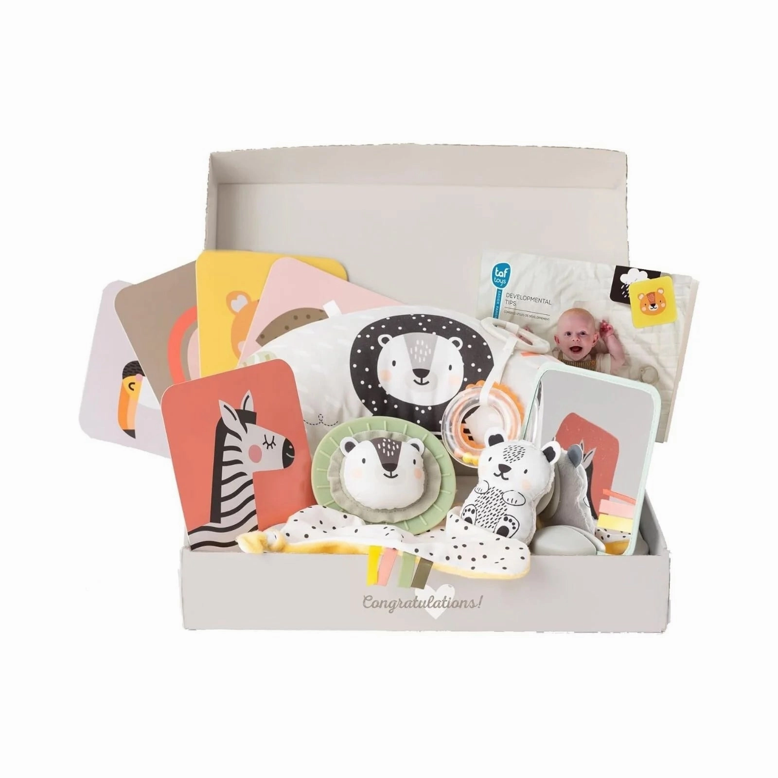Taf Toys Newborn Play & Develop Kit