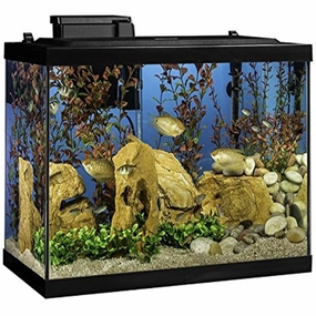 Tetra NV33821 Aquarium 20 Gallon Fish Tank Kit, Includes LED Lighting & Decor