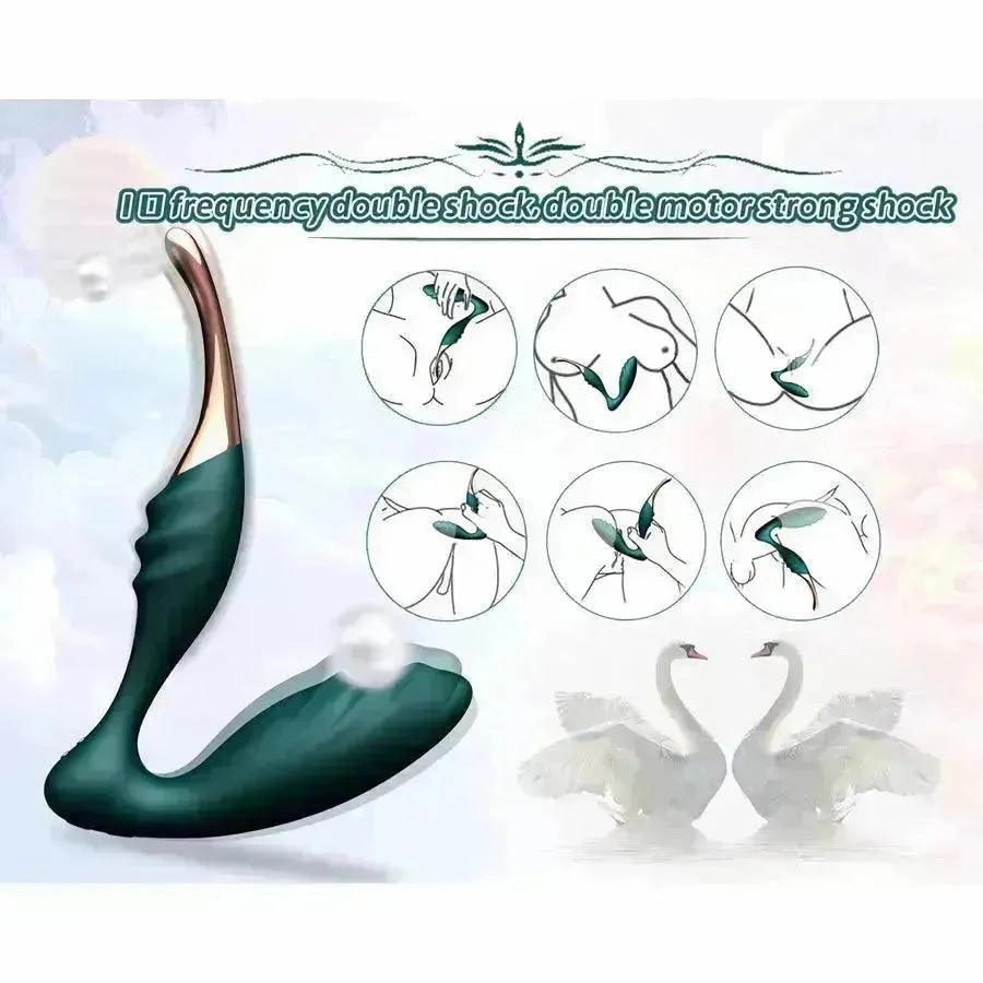 Xinghaoya Dual Remote Controlled Vibrator